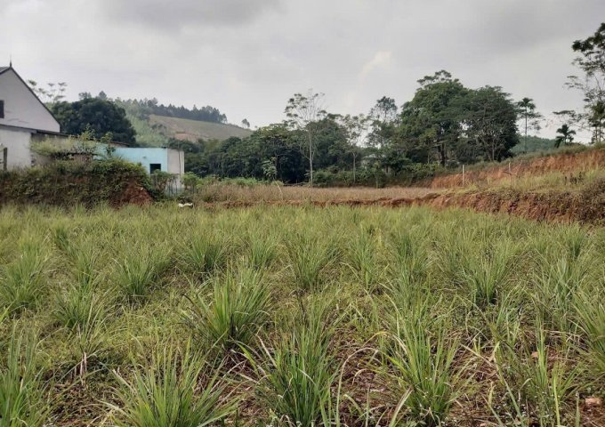 Chính Chủ Bán Đất 2 Mặt Tiền Đẹp, Khu Đắc Địa Ngay Thạch Thành, Thanh Hóa.