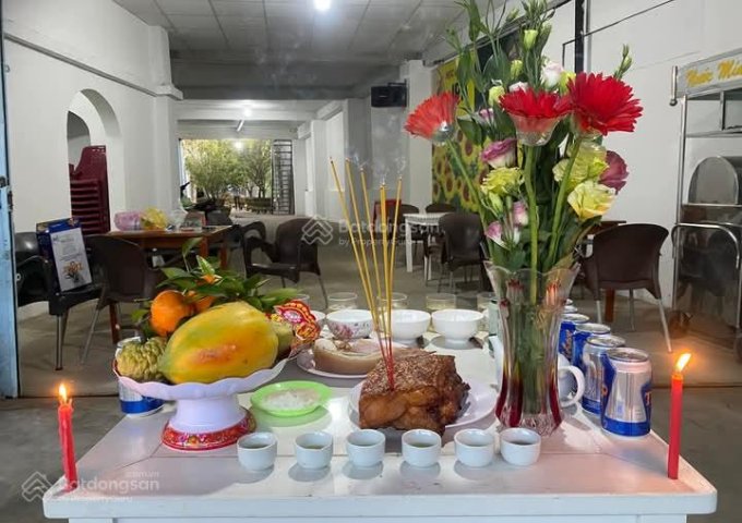 Cho thuê nhà riêng tại 250 Bùi Thị Xuân, Phường 1, Bạc Liêu, Bạc Liêu, DT rộng 1000m² - Chỉ 15 tr/th