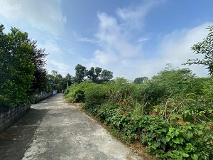 CẦN BÁN LÔ ĐẤT ĐẸP TẠI HUYỆN THỌ XUÂN TỈNH THANH HOÁ