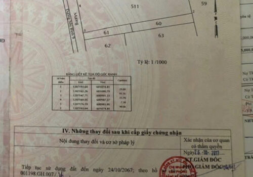 CHÍNH CHỦ CẦN BÁN ĐẤT MẶT TIỀN ĐƯỜNG NHỰA NHỊ BÌNH 9, HÓC MÔN.