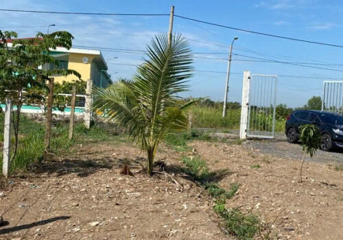 CHÍNH CHỦ CẦN BÁN ĐẤT MẶT TIỀN ĐƯỜNG NHỰA NHỊ BÌNH 9, HÓC MÔN.