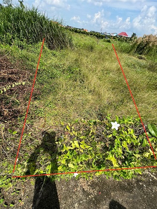 Gia Đình Bán Nhanh 2 Lô Đất Nhỏ Tại Dương Xuân Hội, Châu Thành, Long An