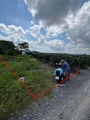 Gia Đình Bán Nhanh 2 Lô Đất Nhỏ Tại Dương Xuân Hội, Châu Thành, Long An