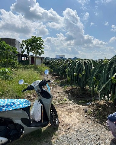 Gia Đình Bán Nhanh 2 Lô Đất Nhỏ Tại Dương Xuân Hội, Châu Thành, Long An