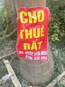 Cho Thuê Mặt Bằng Lâu Dài (trên 5 năm)