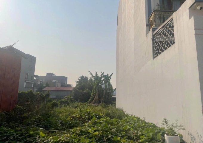 Cho Thuê Mặt Bằng Lâu Dài (trên 5 năm)