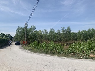 Chính chủ bán 8025m2 đất trồng cây lâu năm tại Bắc Tân Uyên, Bình Dương