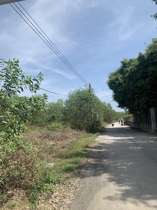 Chính chủ bán 8025m2 đất trồng cây lâu năm tại Bắc Tân Uyên, Bình Dương