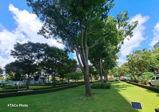 Cho thuê căn hộ 2 phòng ngủ, diện tích 73m2, chung cư Moscow Tower