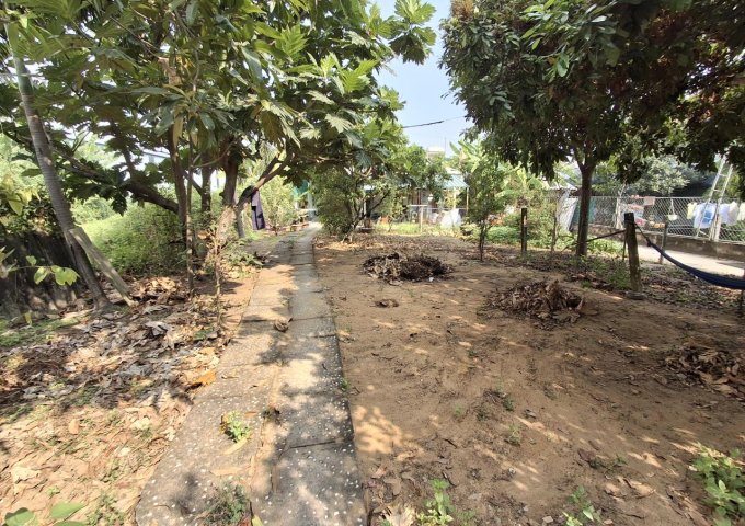 Đất MT Vườn Lài Q12, 702m2, 15x47m chỉ 2x tỷ