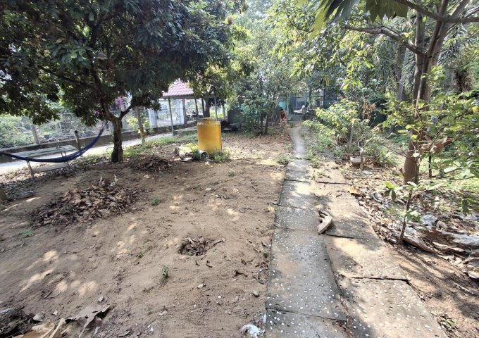 Đất MT Vườn Lài Q12, 702m2, 15x47m chỉ 2x tỷ