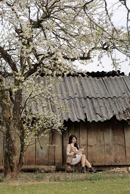 Bán nhanh lô đất làm dịch vụ Du lịch Mộc châu Sơn la.