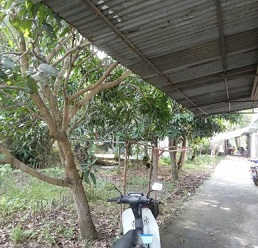 Cần Bán 1 Lô Đất Mặt Tiền Vị Trí Đẹp Có Sẵn Nhà Rộng Rãi Vào Ở Ngay Tại Nguyễn Văn Khải, Thị trấn Mỹ Thọ, Huyện Cao Lãnh, Đồng Tháp