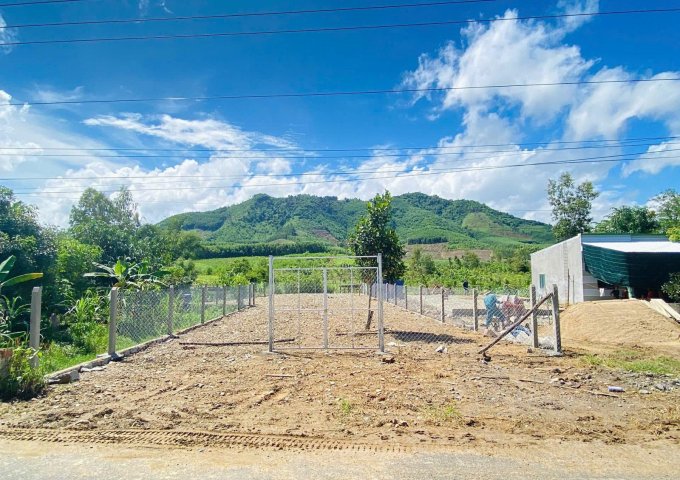 bán đất thổ cư đường nhựa Hương Lộ 62 xã Khánh Phú, Khánh Vĩnh rộng 558m2 giá rẻ LH 0788.558.552