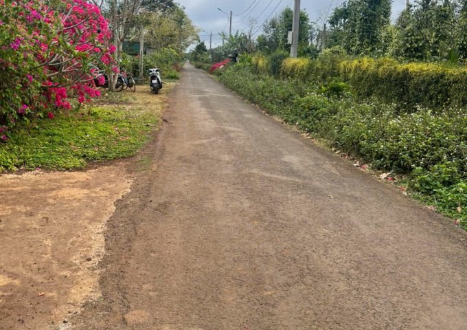 BÁN ĐẤT EATU KM11 KOTAM