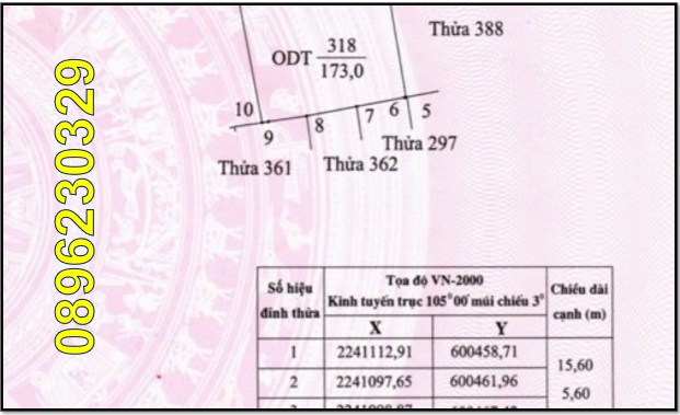 ♥️Chính chủ bán nhanh Lô đất tại Ngõ 202 đường Tây Thành, phố Đẩu Long, Tân Thành, TP.Hoa Lư, 0896230329