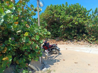 Cần bán đất giáp Biển: Thôn Kim Giao Nam, Xã Hoài Hải, Thị xã Hoài Nhơn, Tỉnh Bình Định