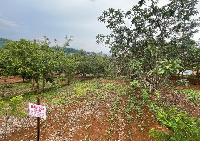 Cần bán mảnh đất đẹp tại hẻm 118 Tôn Thất Thuyết Tổ 1 phường Hoa Lư