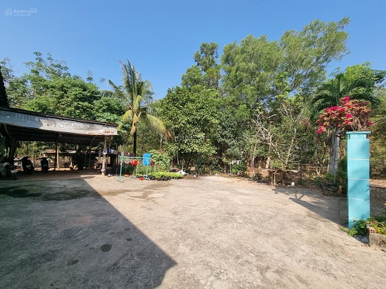Bán đất Long Nguyên, Bàu Bàng 11,000m2 gần chợ Bến Cát, tiện làm nhà vườn, nhà xưởng, công xưởng