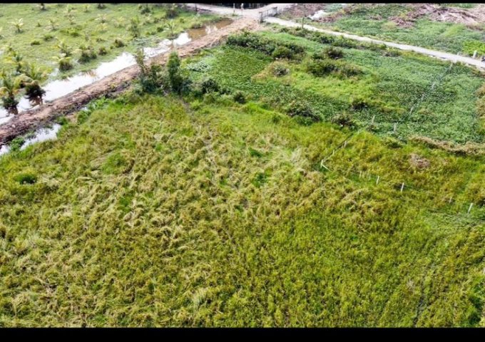 BÁN ĐẤT THỔ CƯ 3000m² - VỊ TRÍ ĐẸP TẠI TP. THỦ ĐỨC - GẦN QUỐC LỘ, CHỢ, UBND, TIỀM NĂNG ĐẦU TƯ .