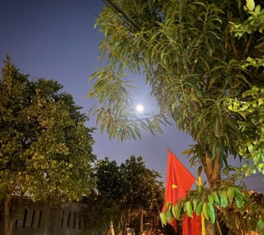 Cần cho thuê đất lâu dài giá rẻ tại Đường Đá Bàn 8, Xã Hòa Châu, Hòa Vang, Đà Nẵng