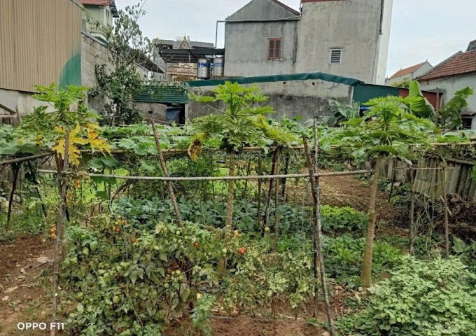 BÁN MẢNH ĐẤT 305M2, 16,5 TỶ CẠNH ĐẠI LỘ THĂNG LONG, BIGC TRẦN DUY HƯNG, CẦU GIẤY 10 PHÚT