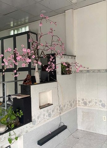 Bán Nhà Cấp 4 Đẹp, Giá Rẻ Tại Hóc Môn, TP Hồ Chí Minh