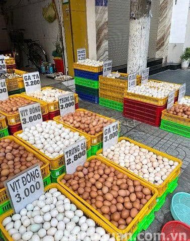 Do làm thêm việc khác không có thời gian ngồi bán cần hợp tác hoặc sang nhượng lại cửa hàng kinh doanh trứng gia cầm