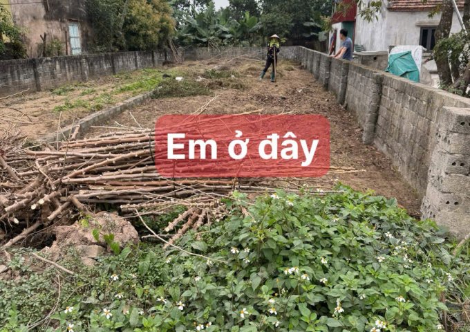 CHÍNH CHỦ CẦN BÁN LÔ ĐẤT TẠI XÃ SONG MAI - HUYỆN KIM ĐỘNG - TỈNH HƯNG YÊN