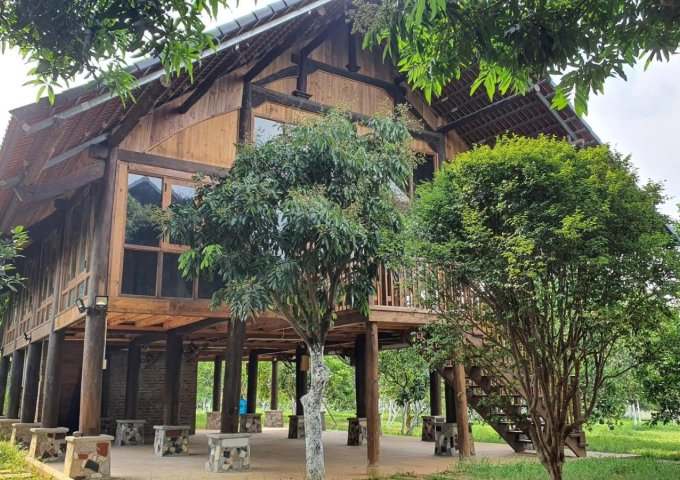 Bán đất Quốc Oai, Hà Nội, giáp mặt hồ lớn, 3 mặt tiền, giá chỉ 6,5 triệu/m2 (có thổ cư)