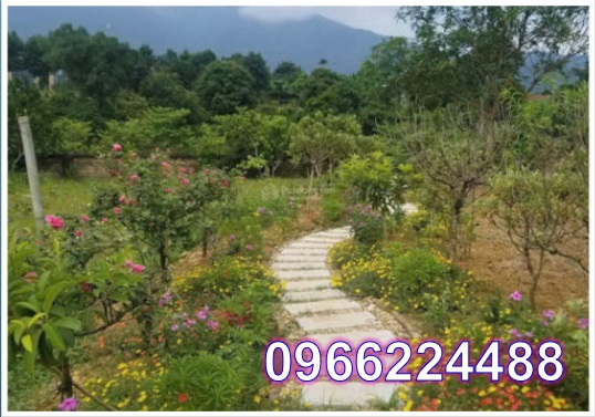 ⭐Bán đất nghỉ dưỡng 2900m2 tại Vân Hòa, Ba Vì, Hà Nội, 11,2tỷ; 0966224488