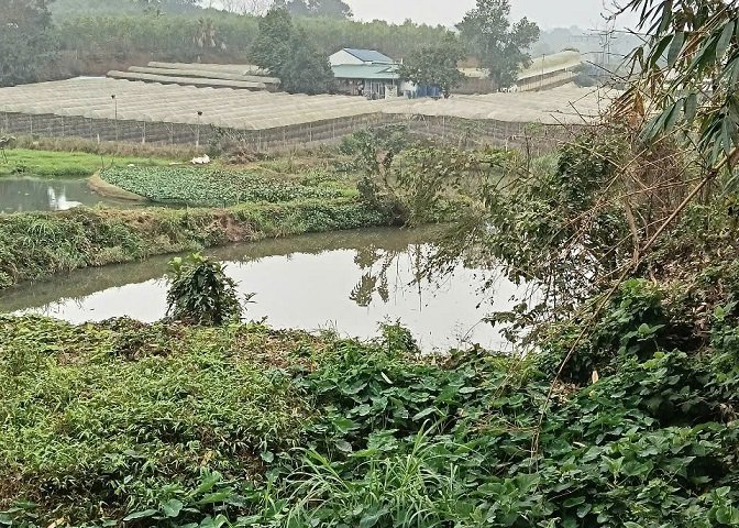 Chính chủ cần bán lô đất Khu 15 Xã Tất Thắng , Huyện Thanh Sơn , Phú Thọ