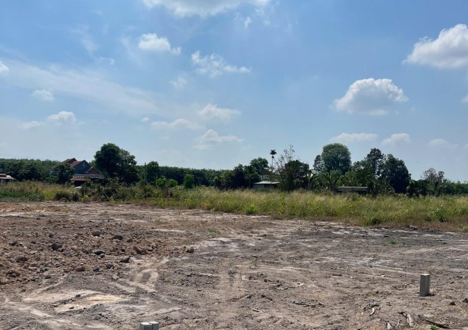 ĐẤT BÀU BÀNG GIÁ RẺ, MẶT TIỀN DT750 TRỪ VĂN THỐ GIÁ 500TR