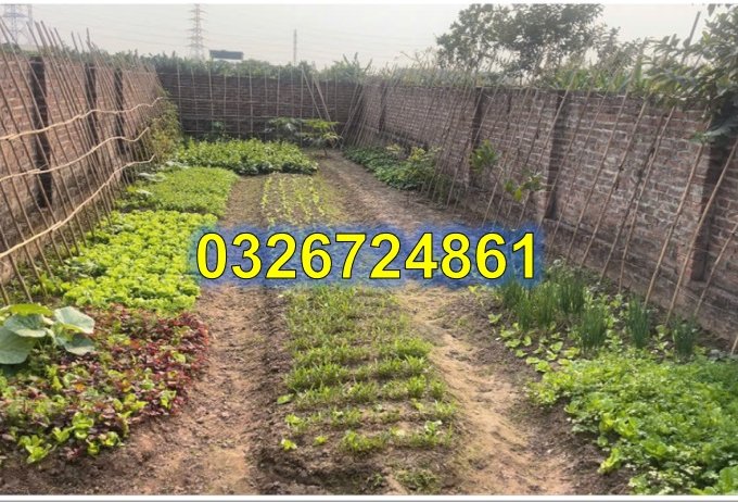 ⭐️Cần bán nhanh lô đất đẹp tại Vân Côn, Hoài Đức, TP.Hà Nội, 9,5tr/m2; 0326724861