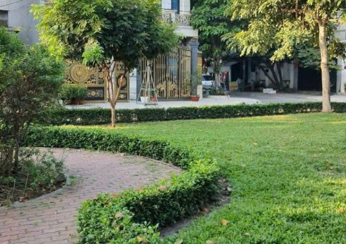 Gấp bán Lô Đất (5x23) Đường Tân Chánh Hiệp 08, Quận 12 Giá Siêu Rẻ