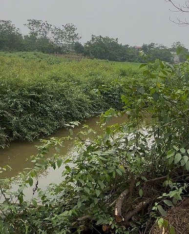 Siêu phẩm nghỉ dưỡng view suối ruộng núi, nở hậu mặt tiền 26m sổ đỏ sang tên trong ngày!