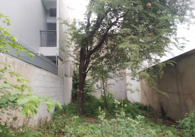 6m x 22,2m = 5 tỷ x Bùi Văn Ngữ Hiệp Thành Quận 12 TP. Hồ Chí Minh.