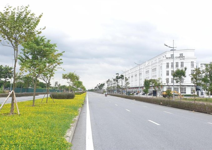 BÁN ĐẤT MẠC XÁ LIÊN MẠC, BẮC TỪ LIÊM Lô Góc 155M2 GIÁ RẺ NHẤT KHU CHIA ĐƯỢC 3 LÔ