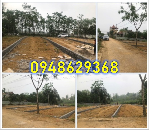 ⭐️Gửi tới anh chị và nhà đầu tư ba lô đất liền kề tại khu Bông Ruối, Hòa Thạch, Quốc Oai, Hà Nội; 1,1 tỷ/lô. 0948629368