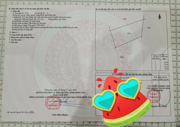 CHÍNH CHỦ CẦN BÁN GẤP LÔ ĐẤT ĐẸP – TIỀM NĂNG TĂNG GIÁ MẠNH TẠI TRẢNG BOM, ĐỒNG NAI