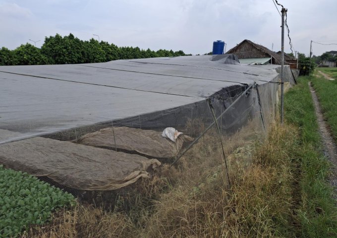 Rẻ! Đất 2.9tr/m² 0.3Ha – Xuân Thới Thượng 2 HM