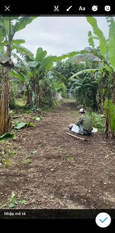 CHÍNH CHỦ CẦN BÁN ĐẤT