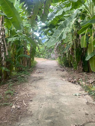 CHÍNH CHỦ CẦN BÁN ĐẤT