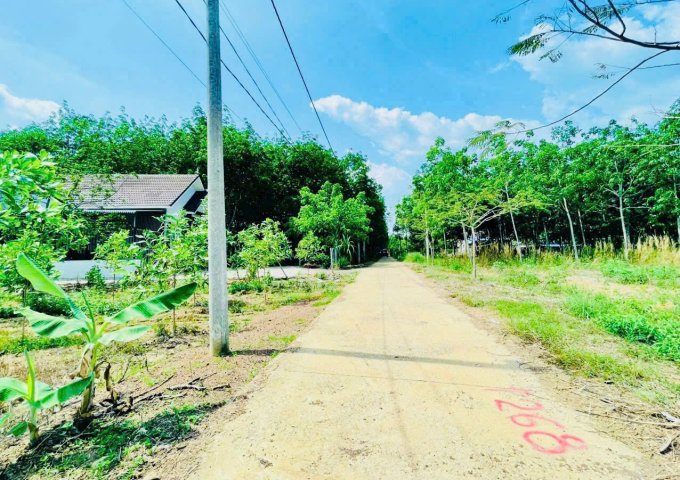 CƠ HỘI TỐT ĐỂ SỞ HỮU LÔ ĐẤT VỊ TRÍ ĐẸP- KHẢ NĂNG SINH LỜI CAO