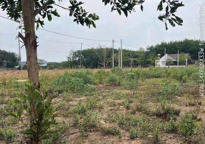 CƠ HỘI TỐT ĐỂ SỞ HỮU LÔ ĐẤT VỊ TRÍ ĐẸP- KHẢ NĂNG SINH LỜI CAO