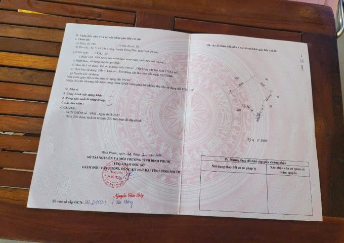 CƠ HỘI TỐT ĐỂ SỞ HỮU LÔ ĐẤT VỊ TRÍ ĐẸP- KHẢ NĂNG SINH LỜI CAO