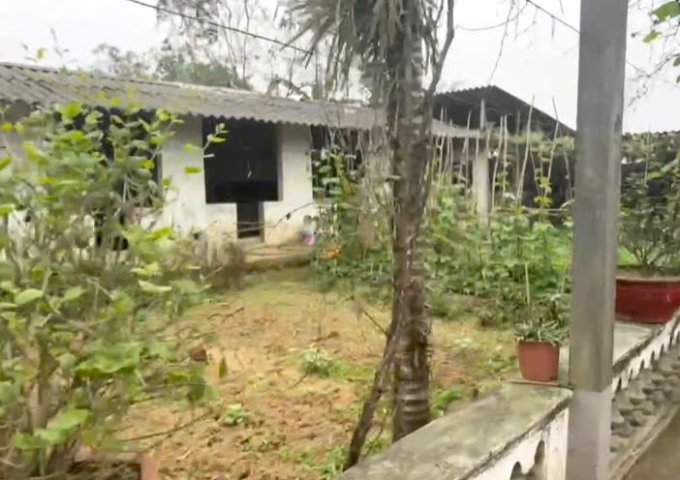 CHÍNH CHỦ CẦN BÁN LÔ ĐẤT TẠI HOÀNG VĂN THỤ- HUYỆN CHƯƠNG MỸ -HÀ NỘI