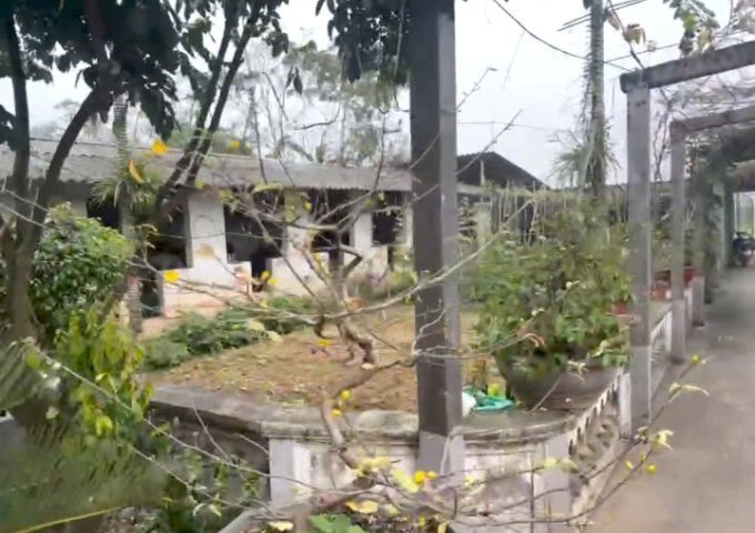 CHÍNH CHỦ CẦN BÁN LÔ ĐẤT TẠI HOÀNG VĂN THỤ- HUYỆN CHƯƠNG MỸ -HÀ NỘI