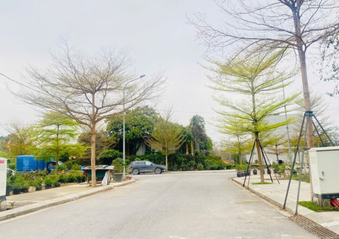 Bán đất KĐT Center City, Vĩnh Yên, Vĩnh Phúc. DT 100m2 Giá 2.8 tỷ