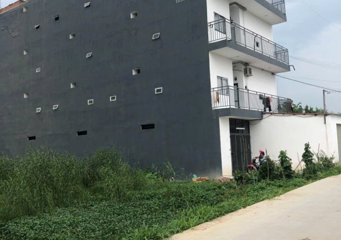 CHÍNH CHỦ CHO THUÊ CHUNG CƯ MI NI 30m2 chung cư đường tỉnh 824 Xã Mỹ Hạnh Nam - Huyện Đức Hòa- Long An